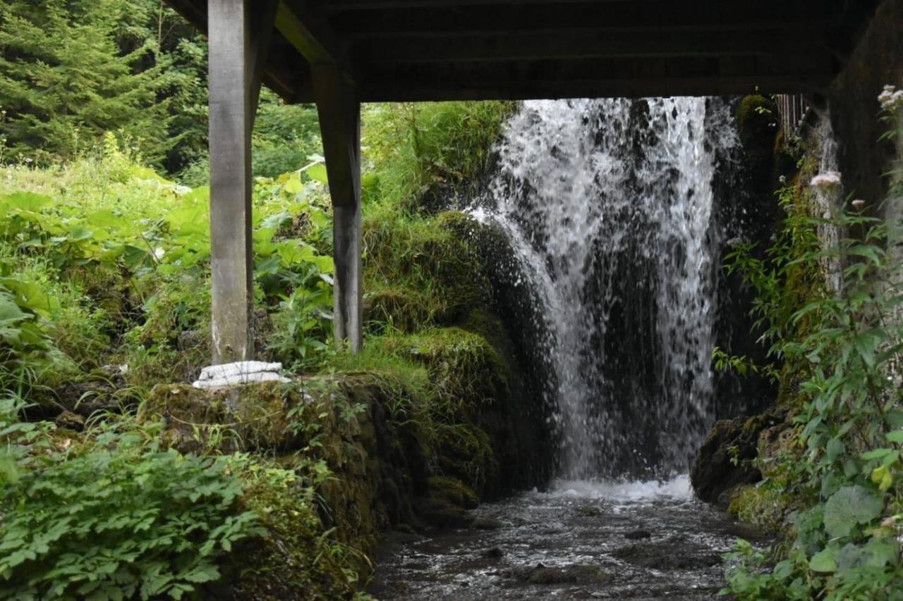 Wooden House With A Waterfall "Stipanov Mlin" Villa Plitvicka Jezera Ngoại thất bức ảnh